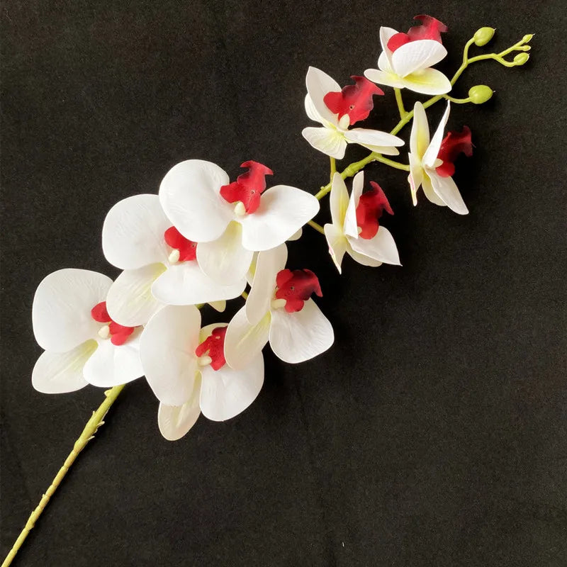 One Latex Butterfly Orchid Flowers 9 Heads Real Touch Good Quality Artificial Phalaenopsis Orchid