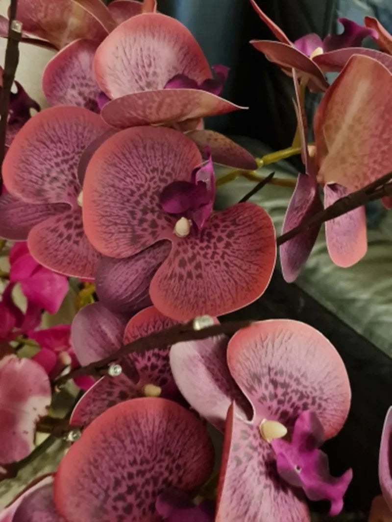 One Latex Butterfly Orchid Flowers 9 Heads Real Touch Good Quality Artificial Phalaenopsis Orchid
