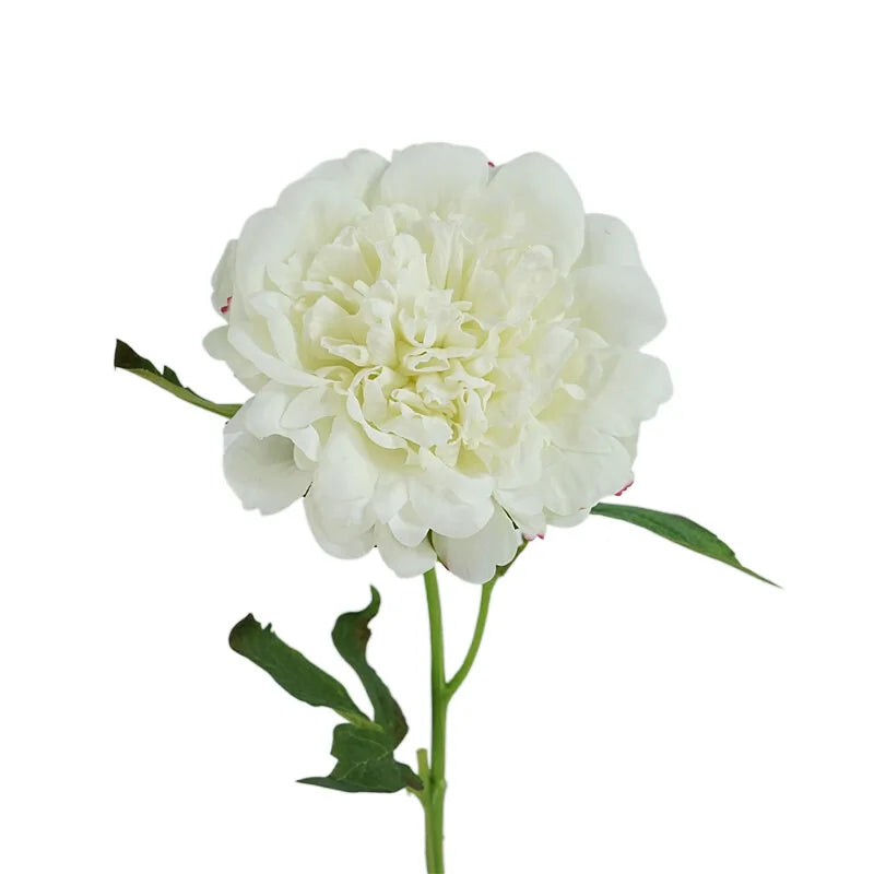 4Pc Moisturizing Real Touch Peony Flowers Artificial Home Decor Peonies Bride Bouquet Wedding Party Flower Arrangement Ornaments