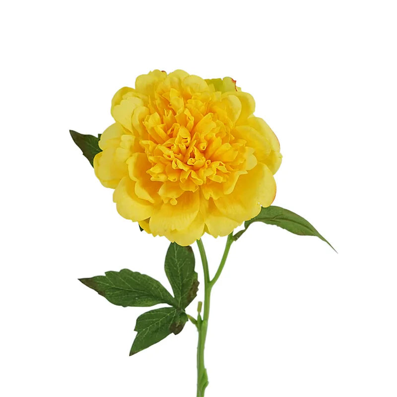 4Pc Moisturizing Real Touch Peony Flowers Artificial Home Decor Peonies Bride Bouquet Wedding Party Flower Arrangement Ornaments