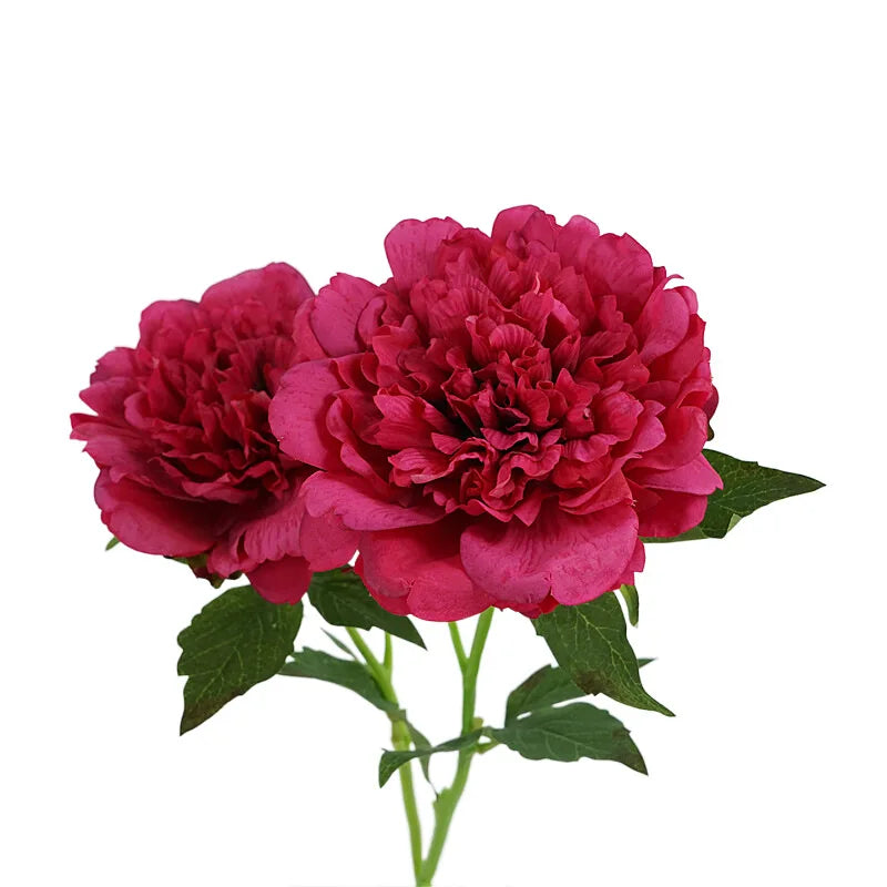 4Pc Moisturizing Real Touch Peony Flowers Artificial Home Decor Peonies Bride Bouquet Wedding Party Flower Arrangement Ornaments