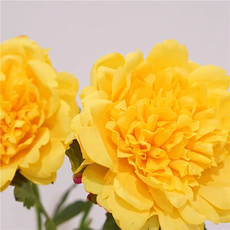 4Pc Moisturizing Real Touch Peony Flowers Artificial Home Decor Peonies Bride Bouquet Wedding Party Flower Arrangement Ornaments