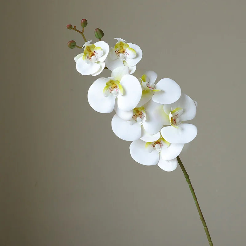 78CM High-end Film 7-head Butterfly Orchid Living Room Decoration Flower Wedding Venue Decoration Silk Flower