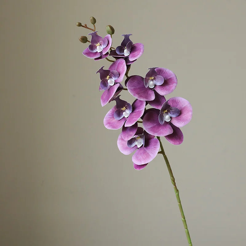 78CM High-end Film 7-head Butterfly Orchid Living Room Decoration Flower Wedding Venue Decoration Silk Flower
