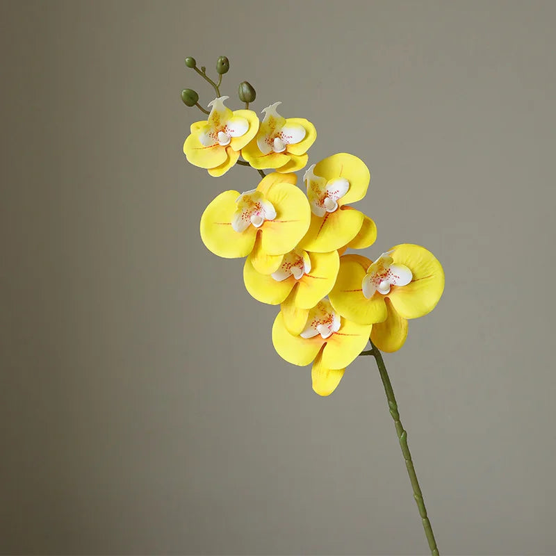 78CM High-end Film 7-head Butterfly Orchid Living Room Decoration Flower Wedding Venue Decoration Silk Flower