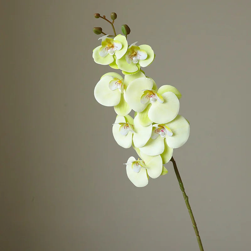 78CM High-end Film 7-head Butterfly Orchid Living Room Decoration Flower Wedding Venue Decoration Silk Flower