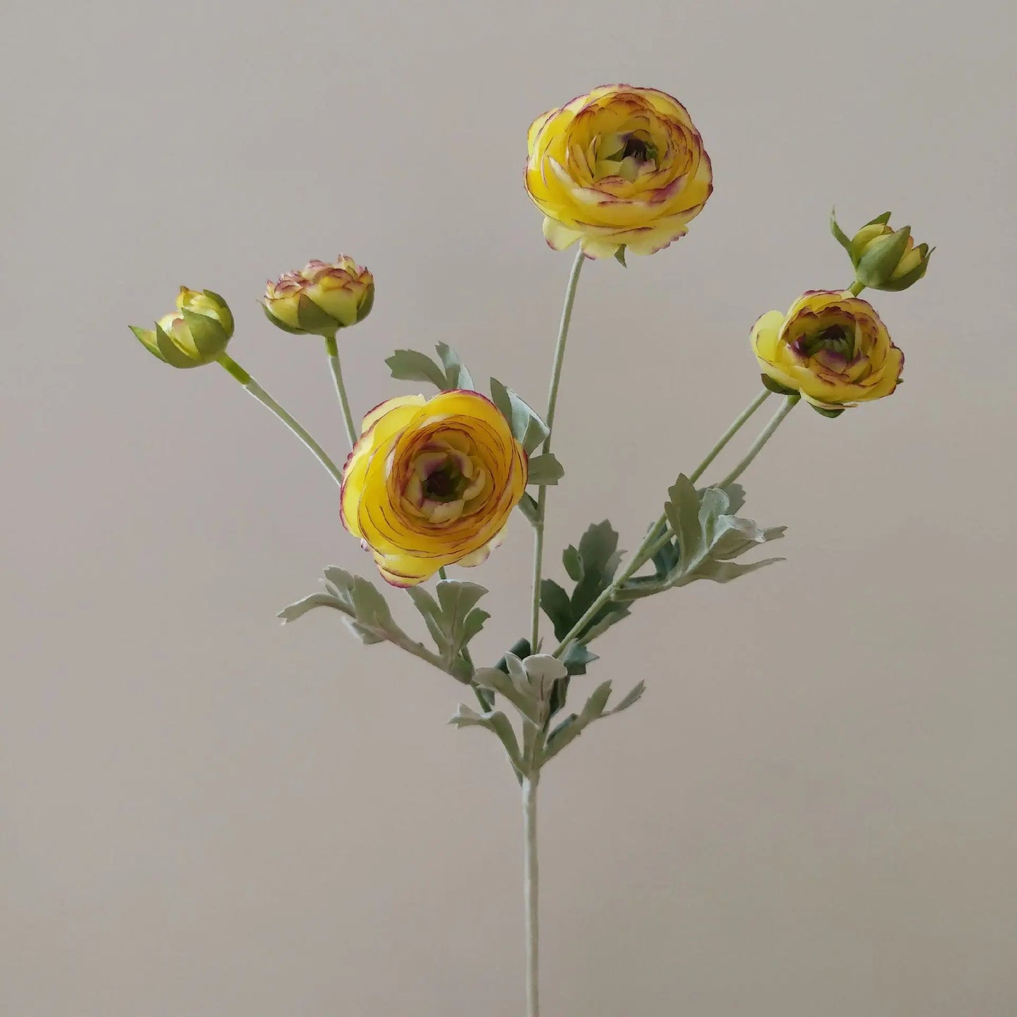 Delicate Small Peony Flower 6 Fork Silk Peony Flower Single Branch Bouquet Living Room Home Decoration Wedding